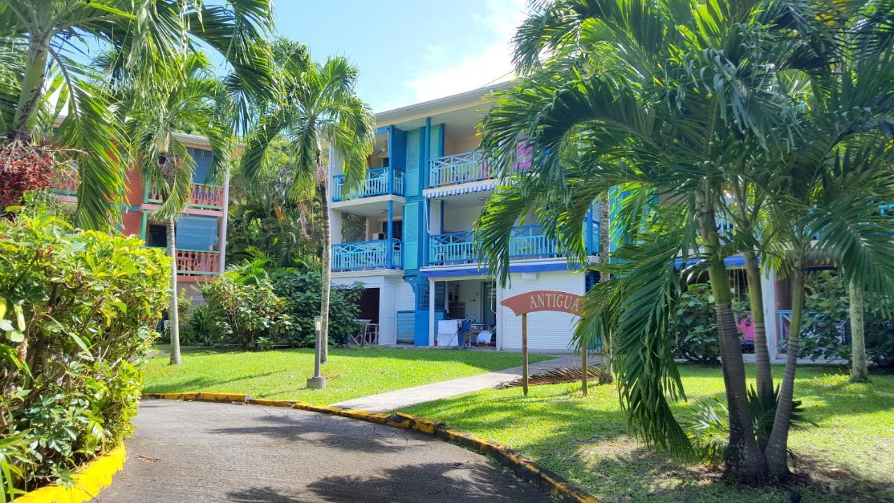 Color Garden - Studio Martinique Сент-Ан Екстериор снимка