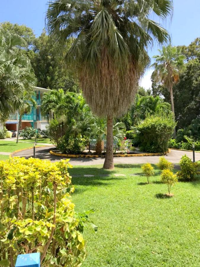 Color Garden - Studio Martinique Сент-Ан Екстериор снимка