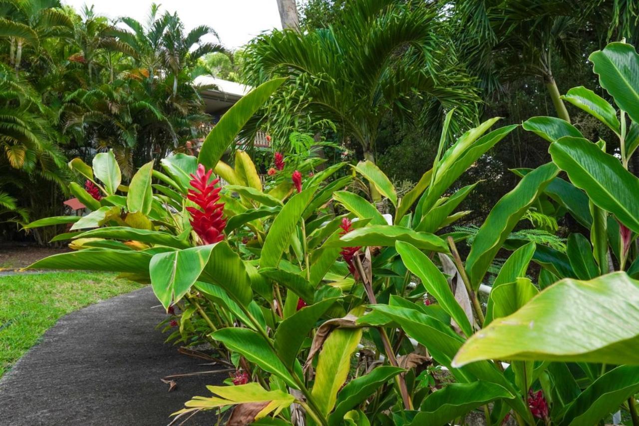 Color Garden - Studio Martinique Сент-Ан Екстериор снимка