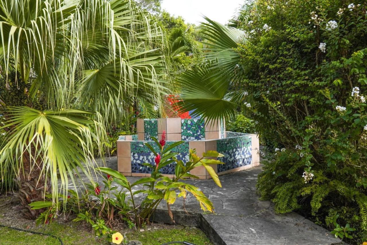 Color Garden - Studio Martinique Сент-Ан Екстериор снимка